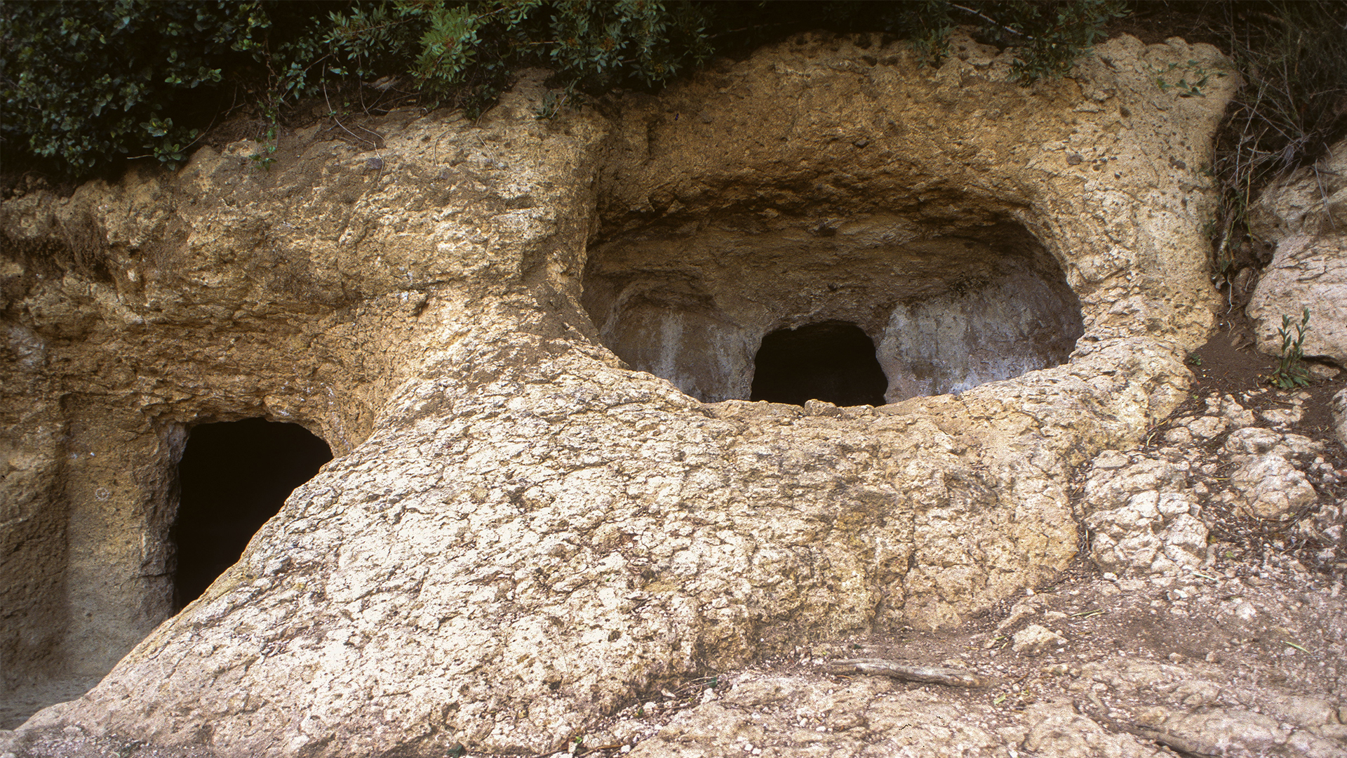 Domus de Janas