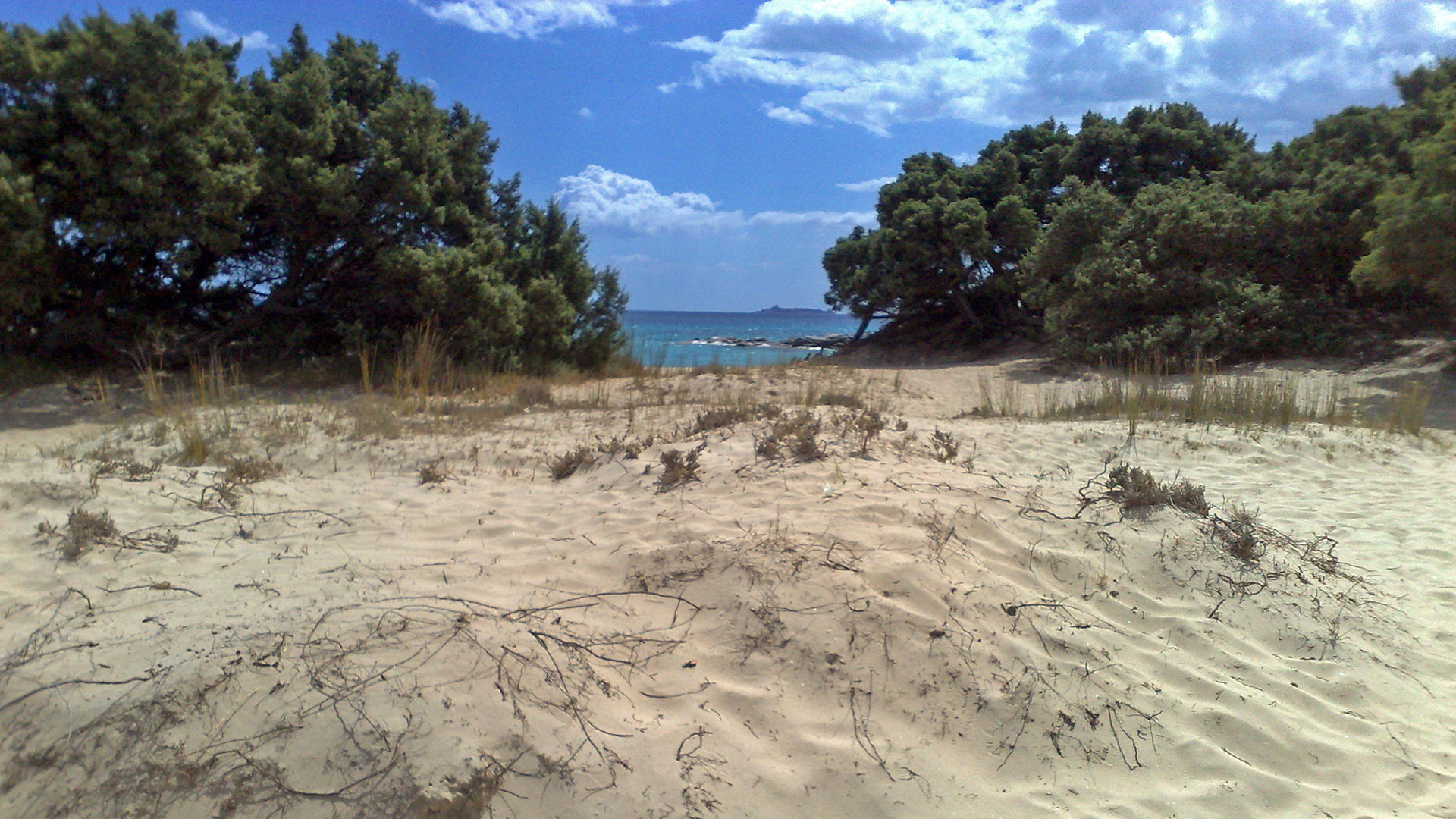 Spiaggia delle ginestre