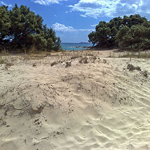 Spiaggia delle ginestre